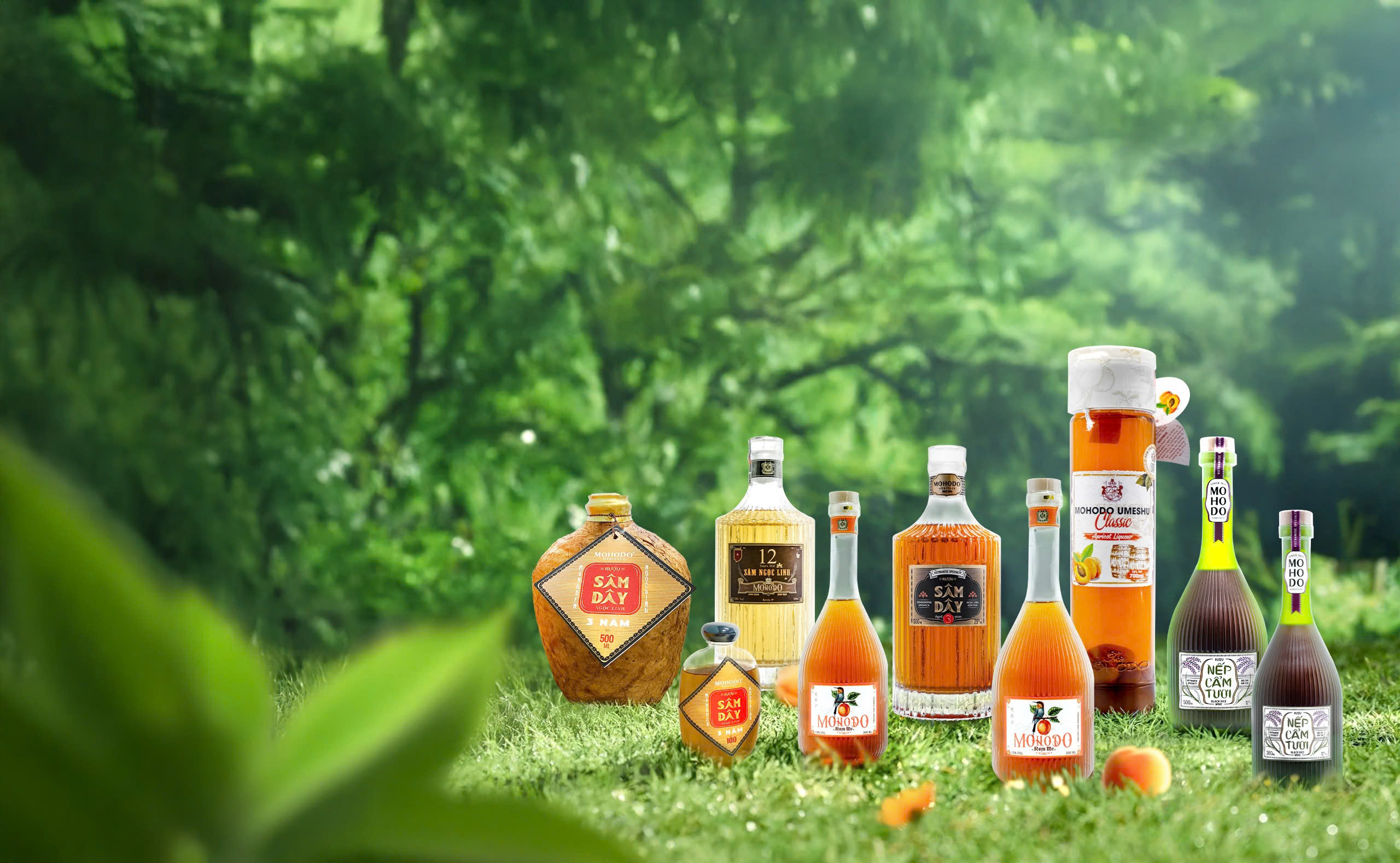 Rượu Mohodo Đặc Sản Truyền Thống